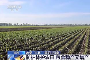 阿森纳球员身价变化：赖斯暴涨1000万 热苏斯哈弗茨托马斯下跌